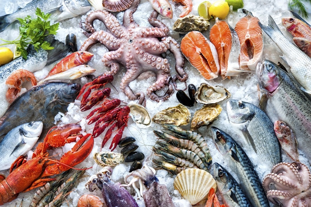 Meat & Seafood
